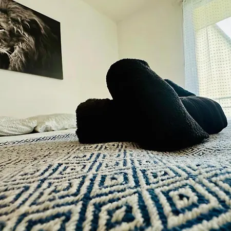 Apartment Domaine Du Yearling 2 Touques