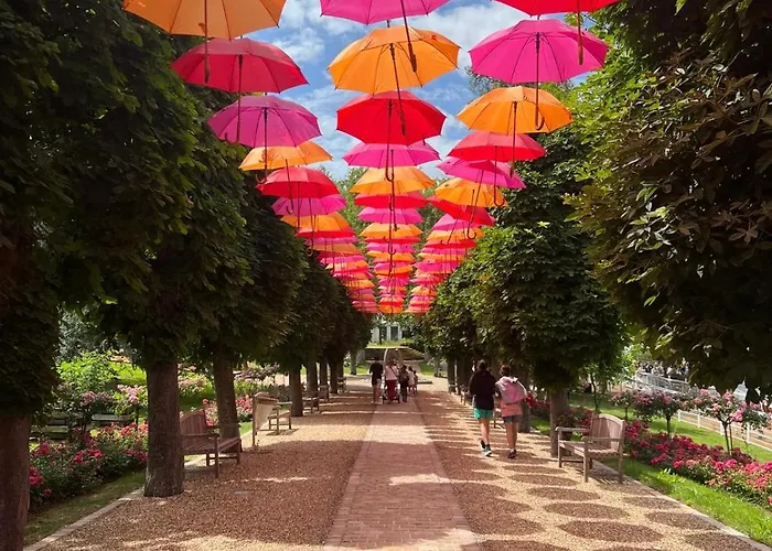 Daire Domaine Du Yearling 2